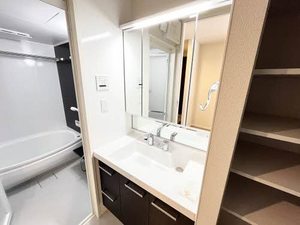 ヒルビレッジ静岡駅南 0201号-9