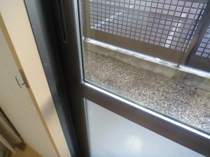 ベルフローラ 0103号-8