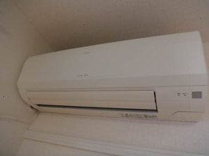 ベルフローラ 0201号-7