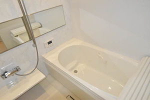 メゾン　ド　ペルル 0301号-11