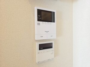 ｓｈｕｒｉｎａ（シュリナ） 0102号-12