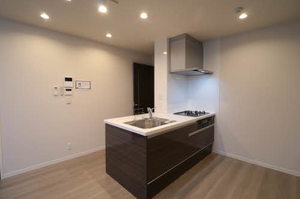 シャーメゾン仁王門通 0103号-8