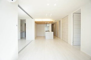 ルミエール・ド・ソレイユ 0102号-2