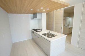 ルミエール・ド・ソレイユ 0102号-3