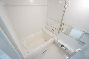 ルミエール・ド・ソレイユ 0102号-5