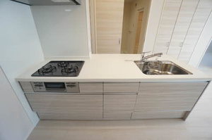 ルミエール・ド・ソレイユ 0102号-13