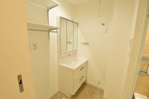 ベルソー　デ　サイネン 0102号-11