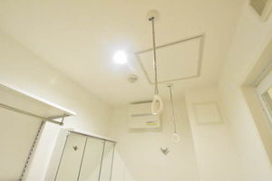 ベルソー デ サイネン 0302号-13