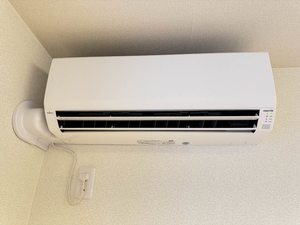 ｗｉｎｄｅｒｍｅｒｅ 0101号-10