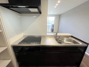 セントリビエ 0106号-4