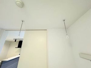 フォレルス（Ｆｏｒｅｌｓ） 0106号-15