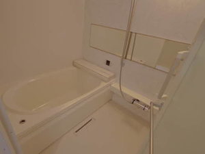 ピュルテ 0206号-8