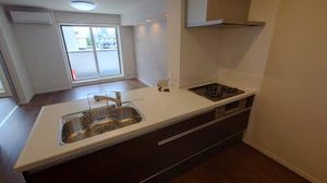 RenaissHills安東(ルネスヒルズ安東) 0201号-6