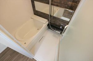 シャーメゾン大金 0101号-5