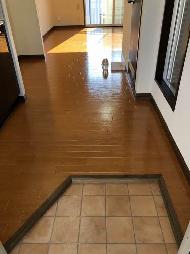 ラフォーレ中町 0206号-3