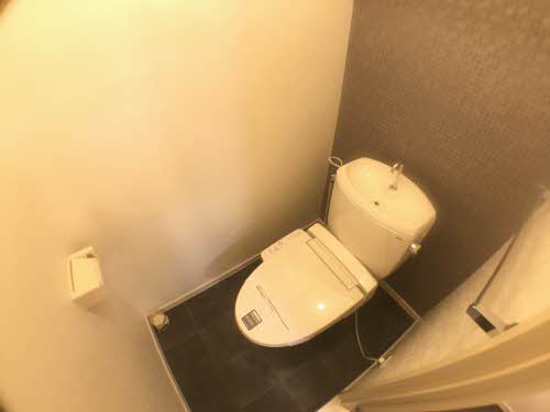 ほほえみ荘 0203号-9