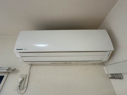 その他画像11