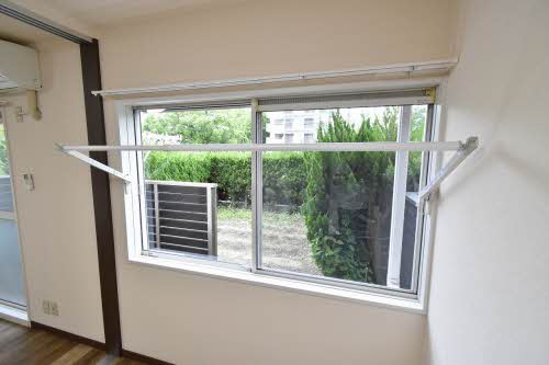 ミラクハナ 0101号-14