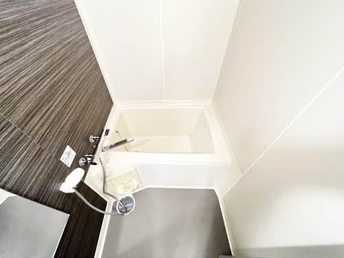 ハマナチェル乙女園 0101号-12