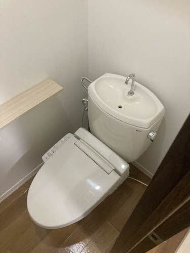 パストラルＫ 0205号-14