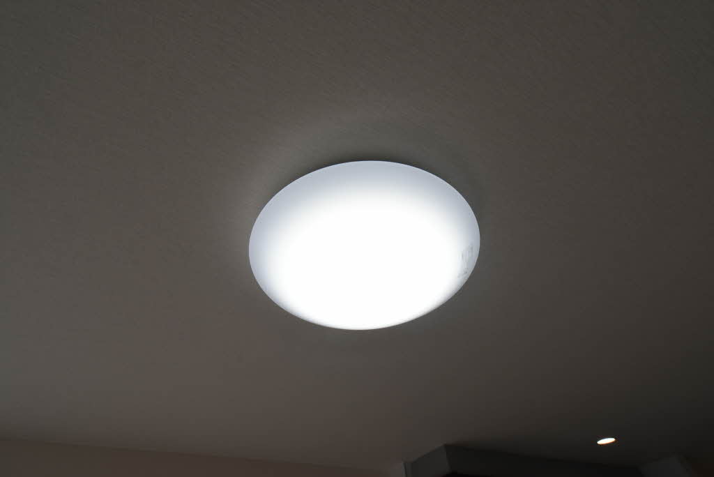 サクラメント 0102号-13