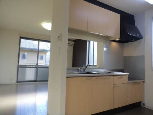 Ｆｉｎｅ　ＹＯＮＥＤＡ C207号-5