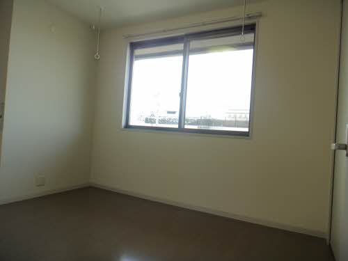 Ｆｉｎｅ　ＹＯＮＥＤＡ C207号-10