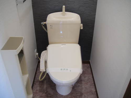 アゼリアマンノ C201号-11