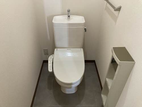 アピス A202号-15