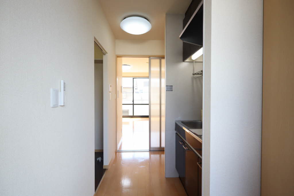 ピッセン　リッツ B203号-6