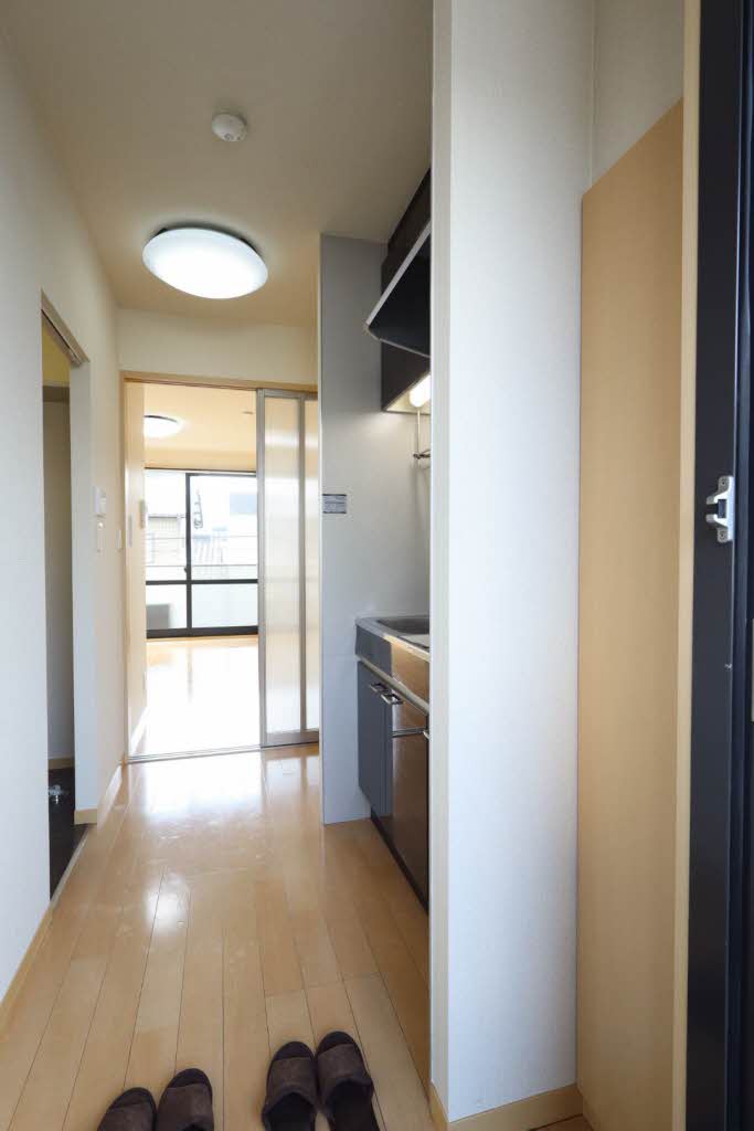 ピッセン　リッツ B203号-15