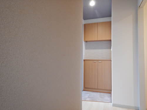 ディアス　石芝 0202号-4