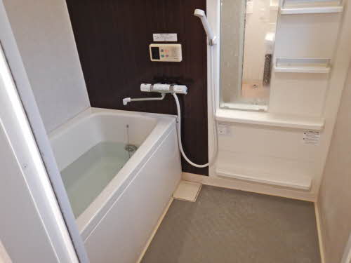 ディアス　石芝 0202号-15