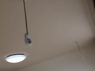 ソレイユ寿香 0101号-9