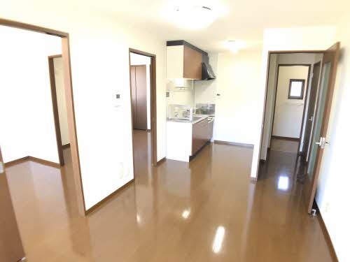 セントポーリア D102号-2