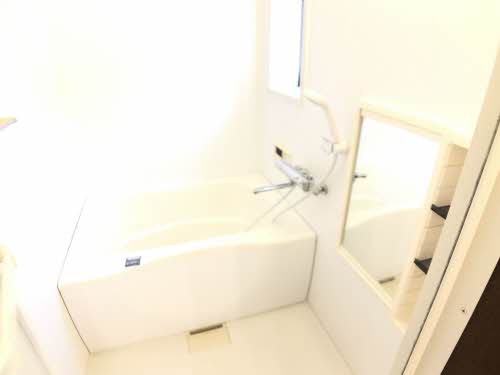 セントポーリア D102号-14