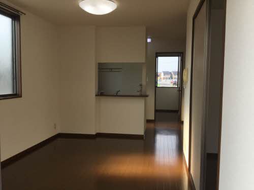 セントポーリア E102号-3