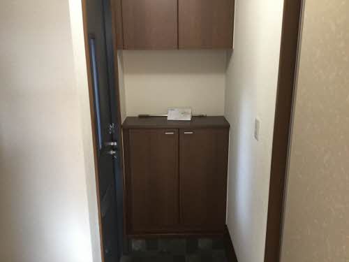 セントポーリア E102号-9