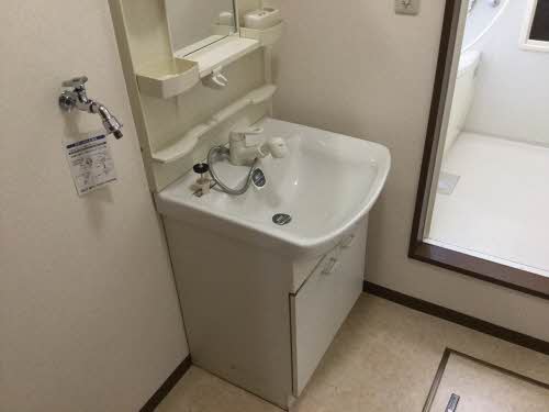 セントポーリア E102号-10