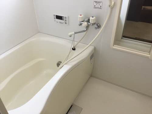 セントポーリア E102号-11