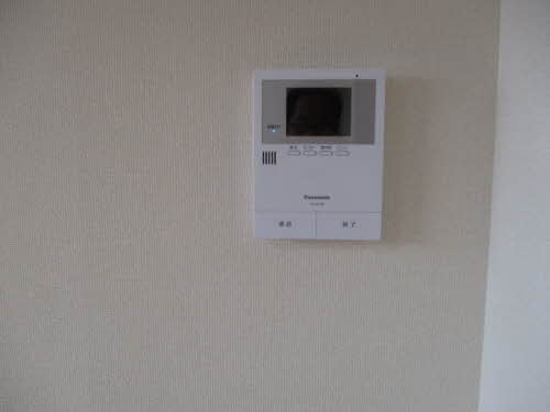 ラフローラ D213号-9