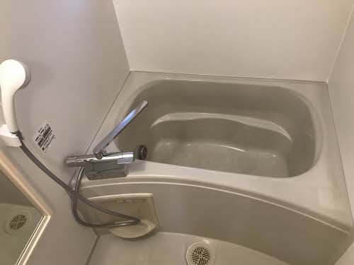 パンパスグラス 0105号-8