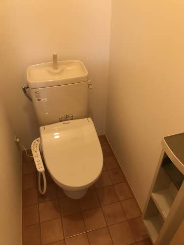 パンパスグラス 0105号-11