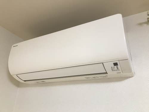 パンパスグラス 0105号-12