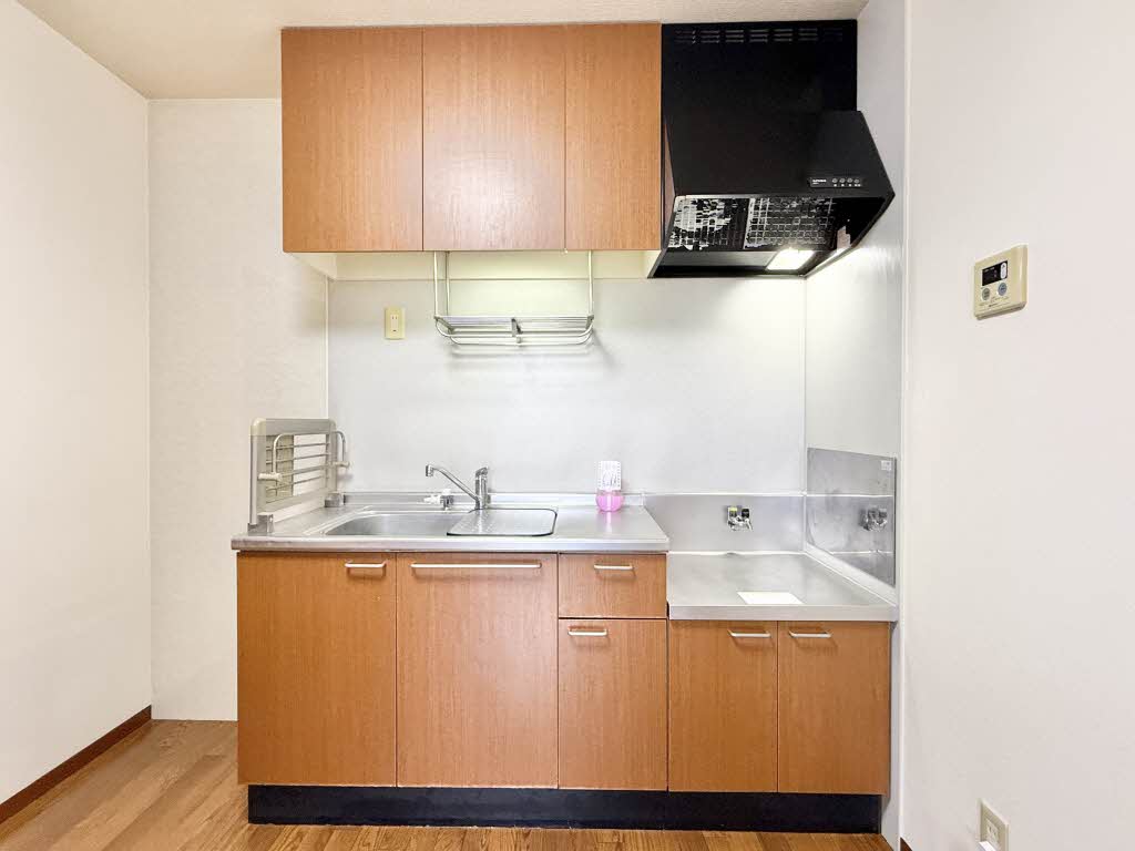 パルミールアン 0203号-4