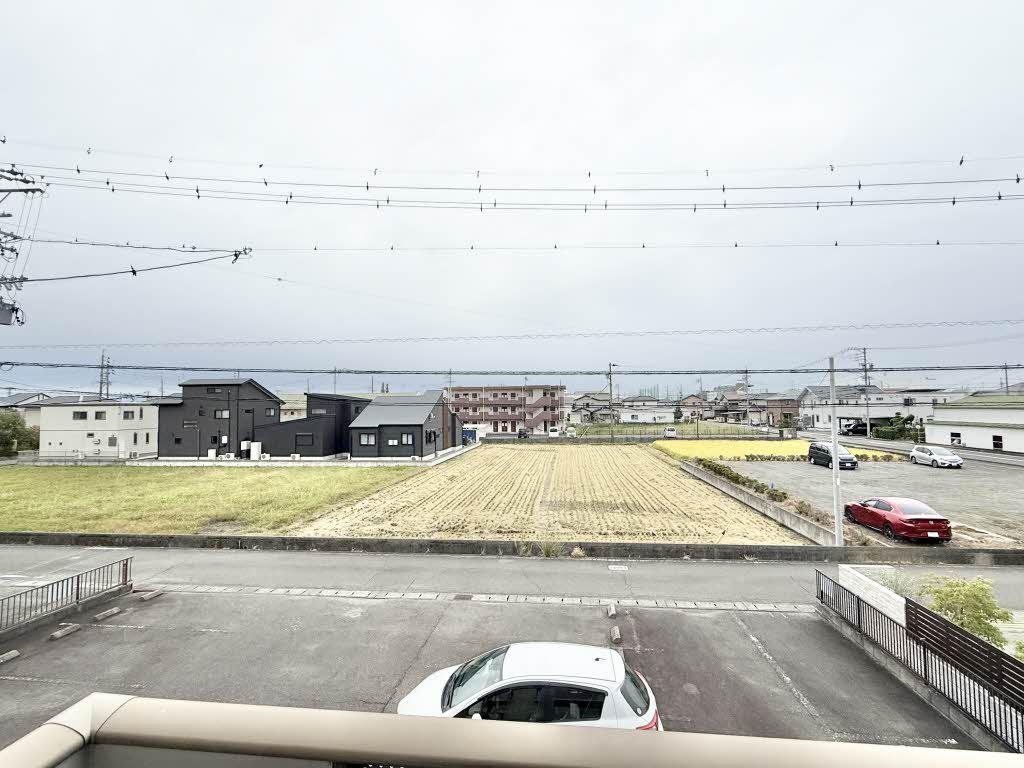 パルミールアン 0203号-12