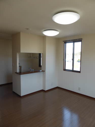 カテリーナ B201号-2