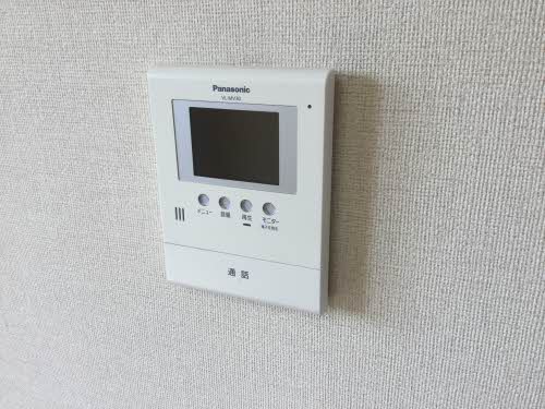 蒲公英 0101号-6