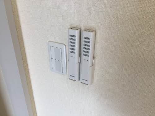 蒲公英 0101号-11