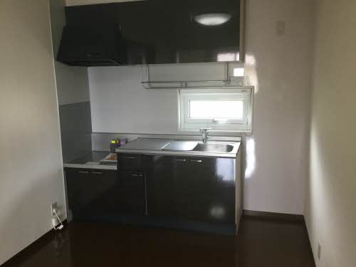 ハイジドルフ A202号-5